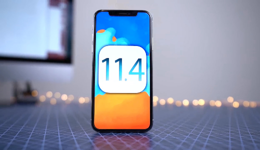 [啾啾小透明]  喂!耳朵露出来